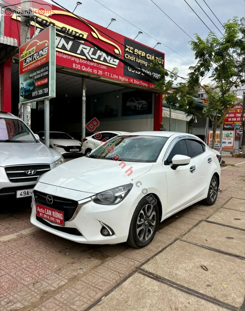 Hình ảnh số 5