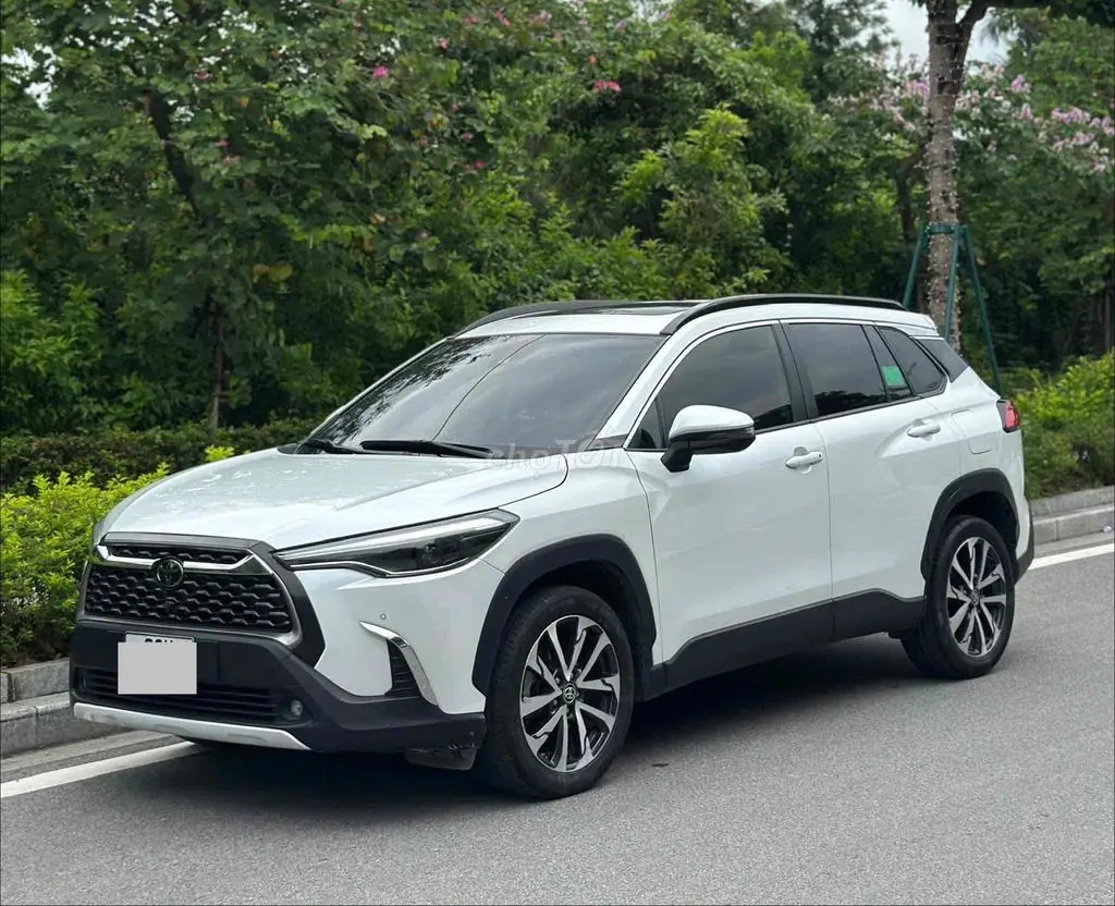 Hình ảnh số 2