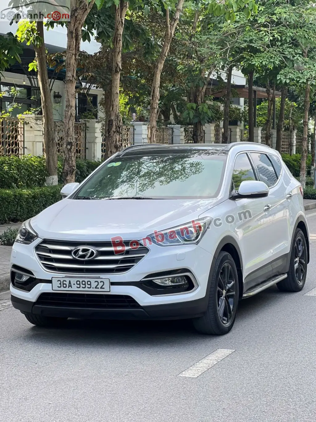 Hình ảnh số 2