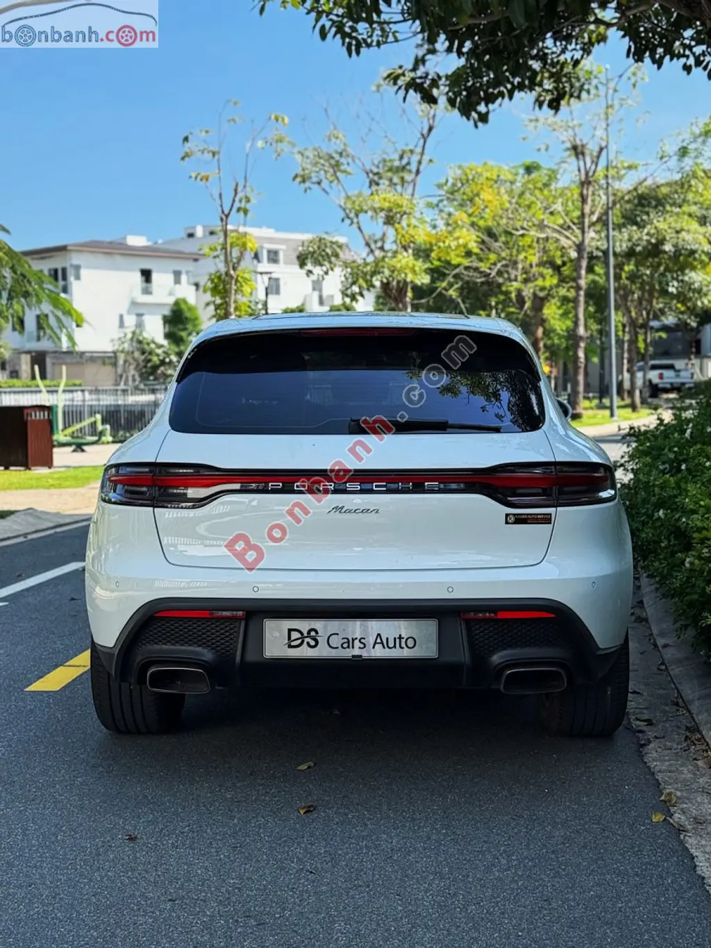 Hình ảnh số 2