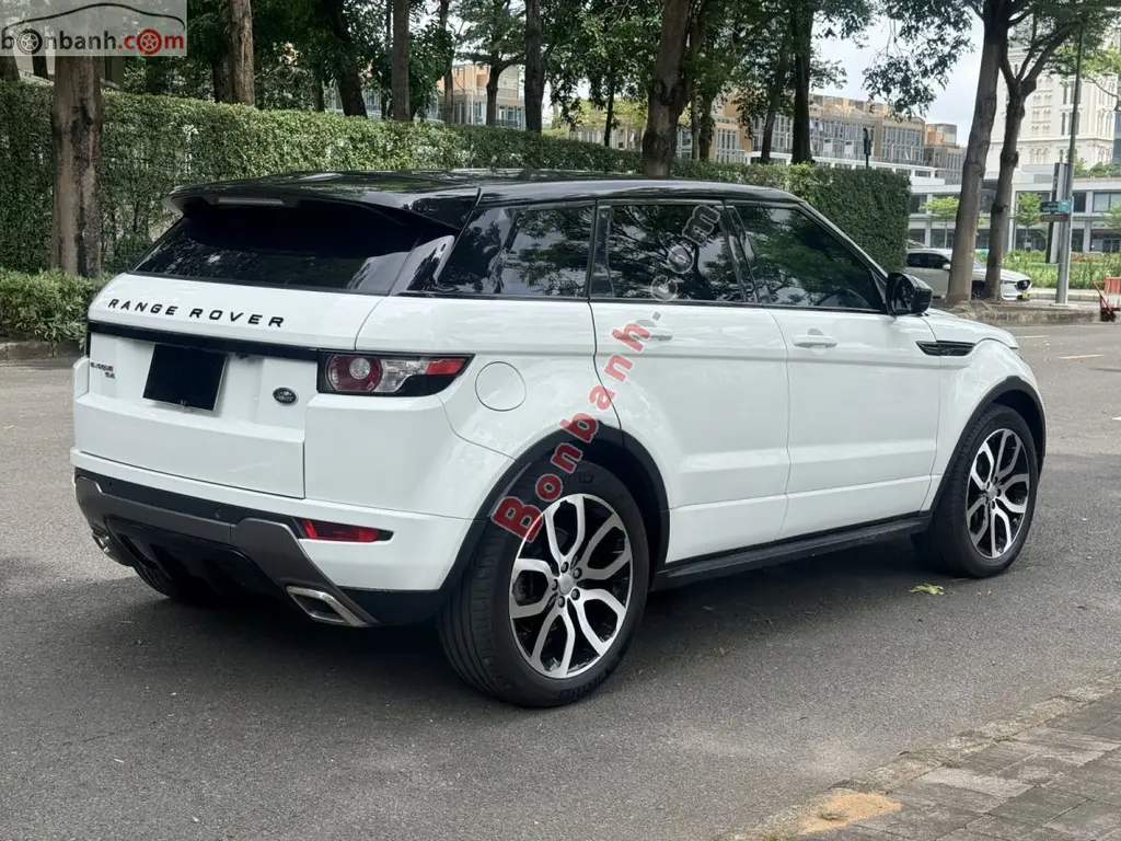 Hình ảnh số 2