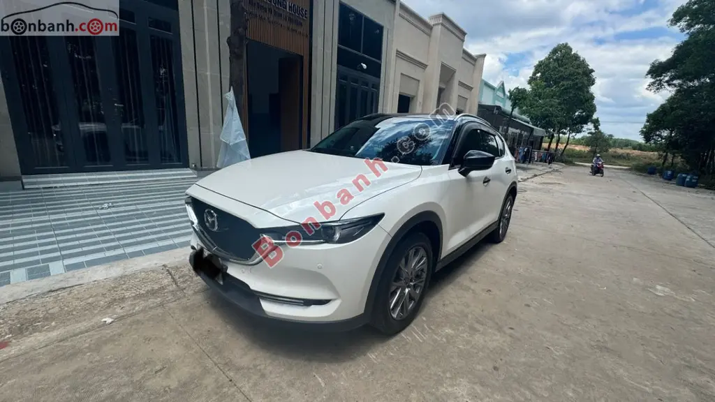 Hình ảnh số 2