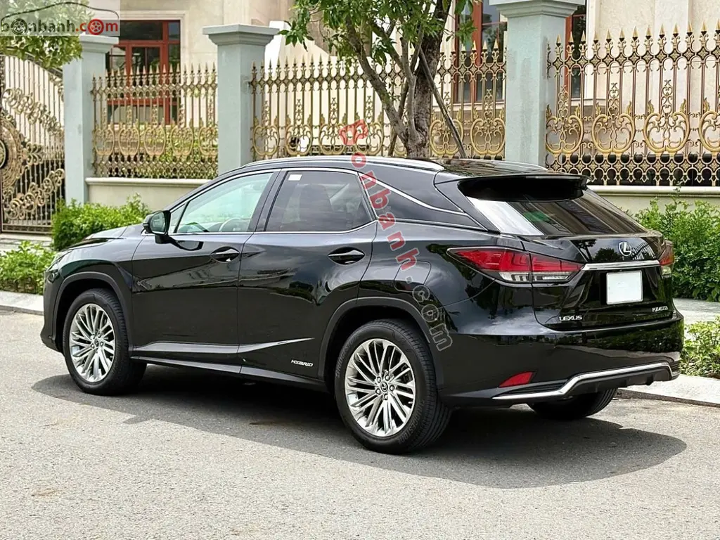Hình ảnh số 4