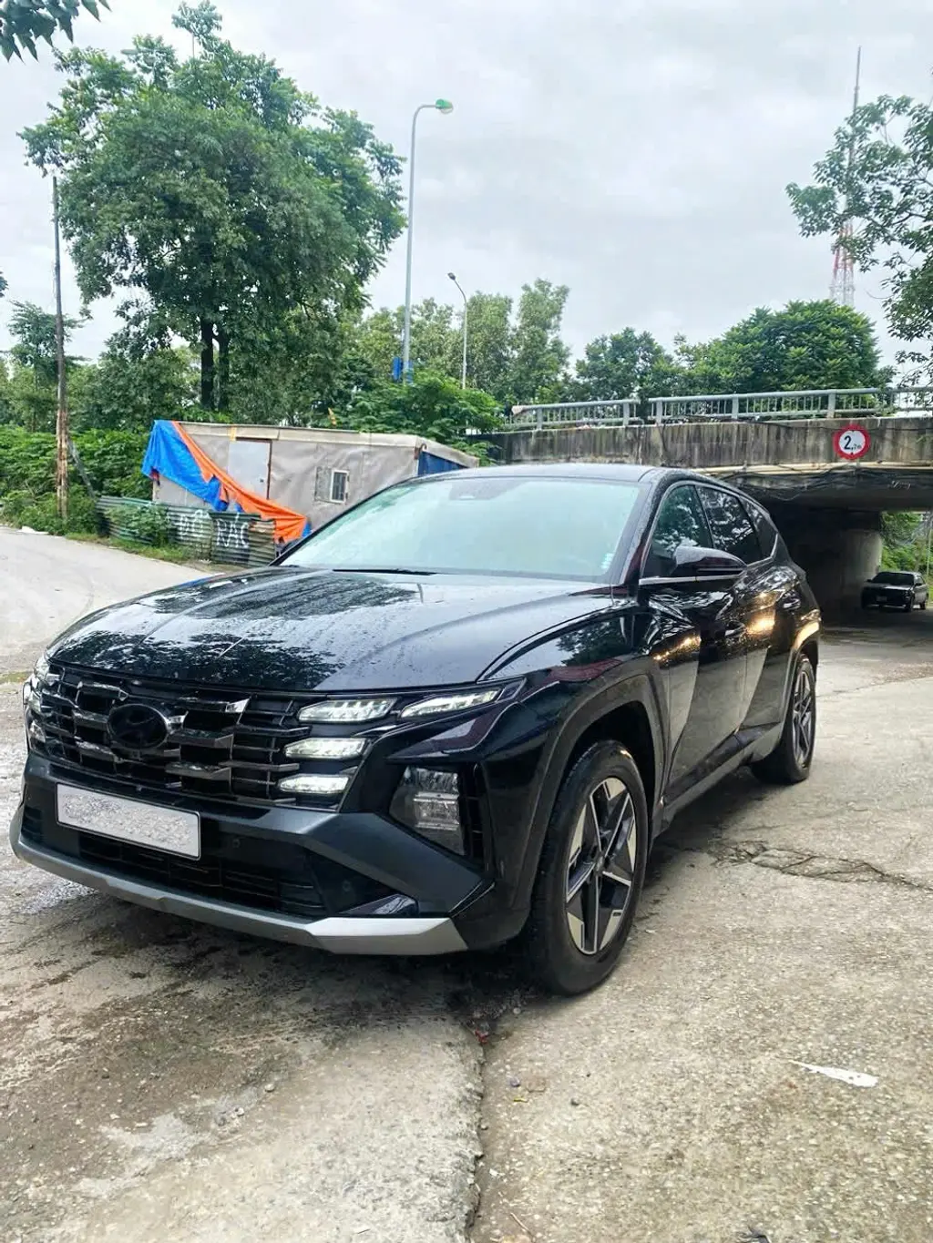 Hình ảnh số 3