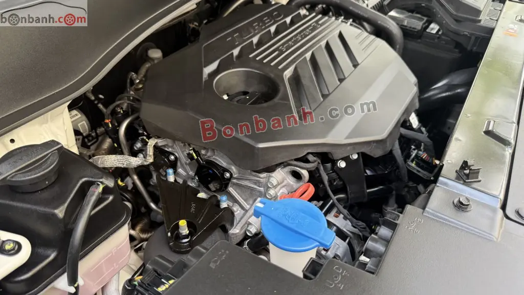 Hình ảnh số 10