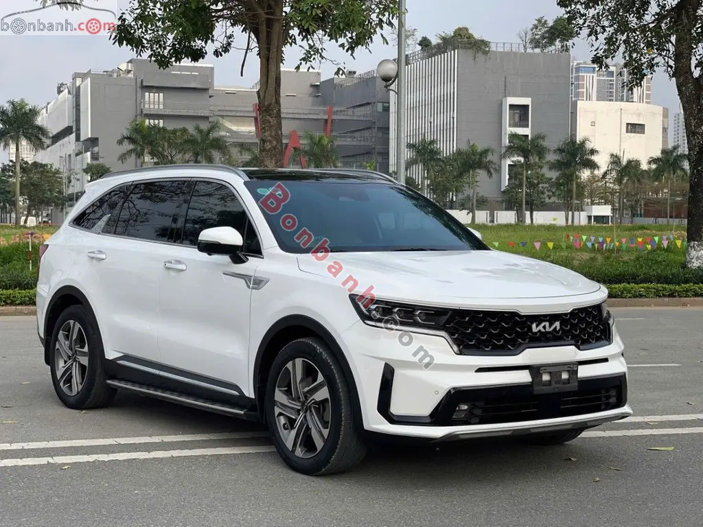 Hình ảnh số 2