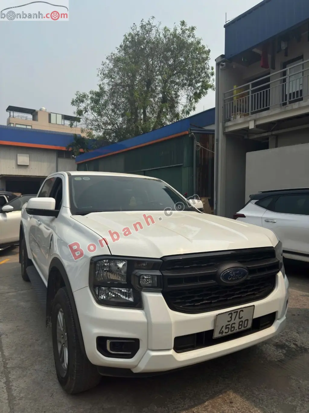 Hình ảnh số 2