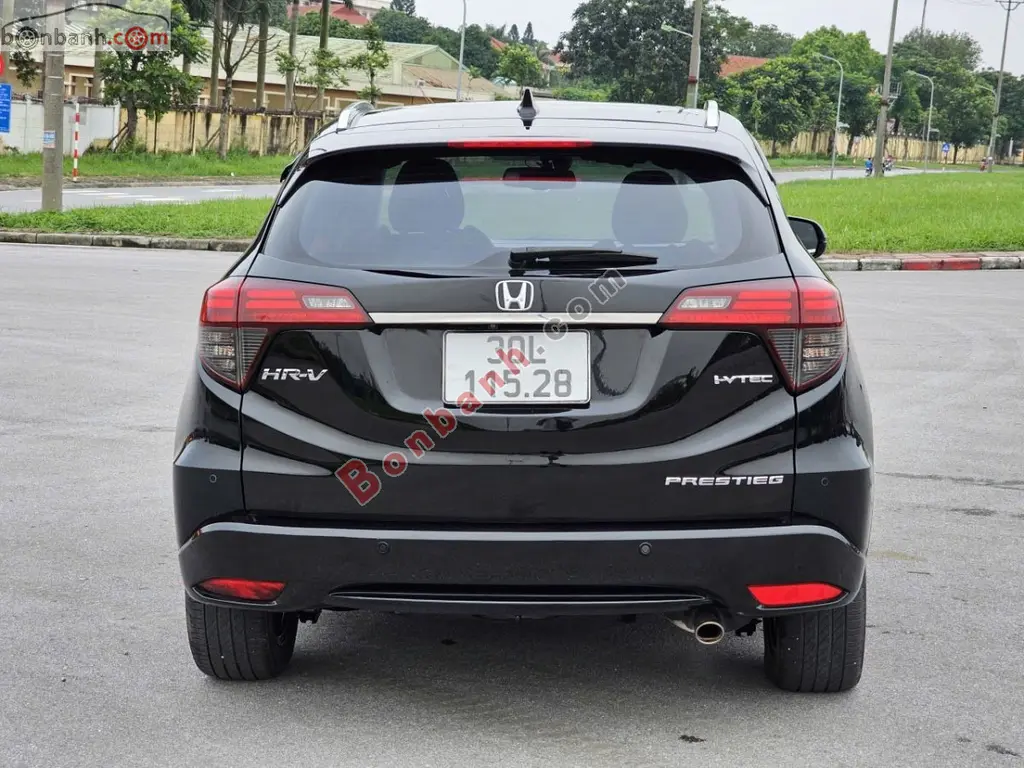 Hình ảnh số 2