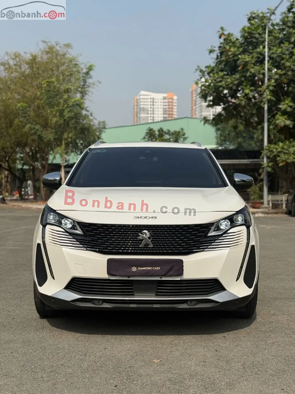 Hình ảnh số 2