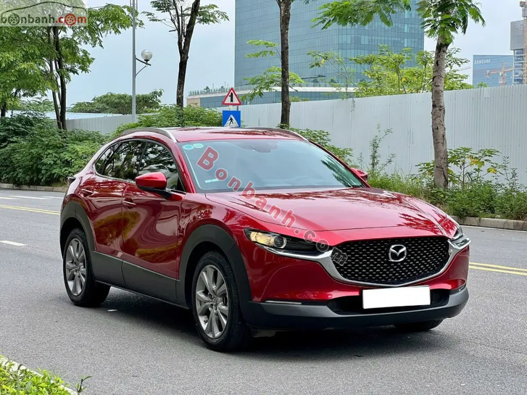 Hình ảnh số 2
