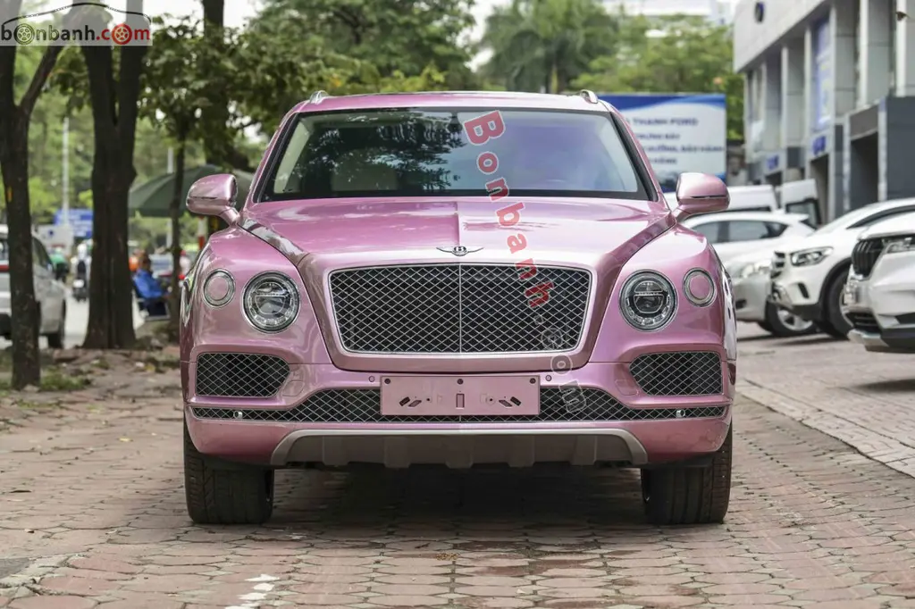Hình ảnh số 2