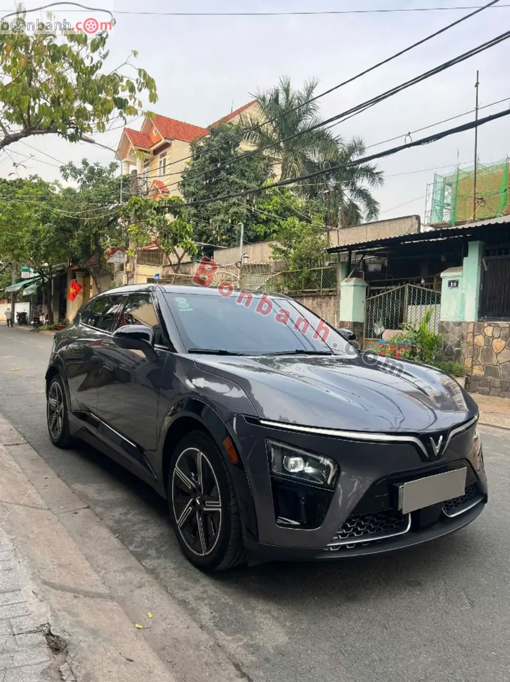 Hình ảnh số 2