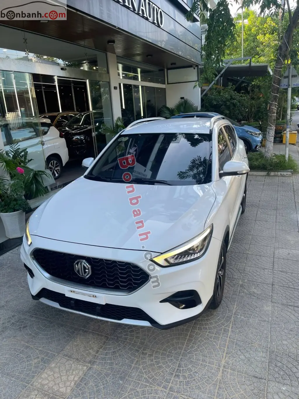 Hình ảnh số 2