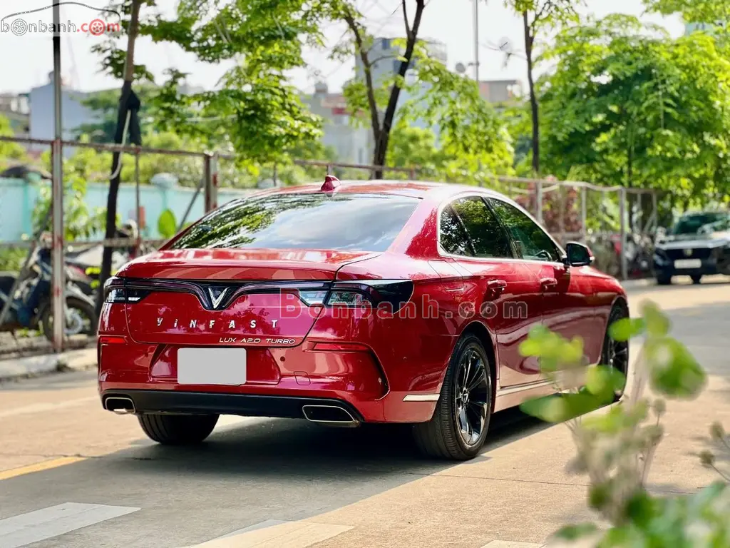 Hình ảnh số 3