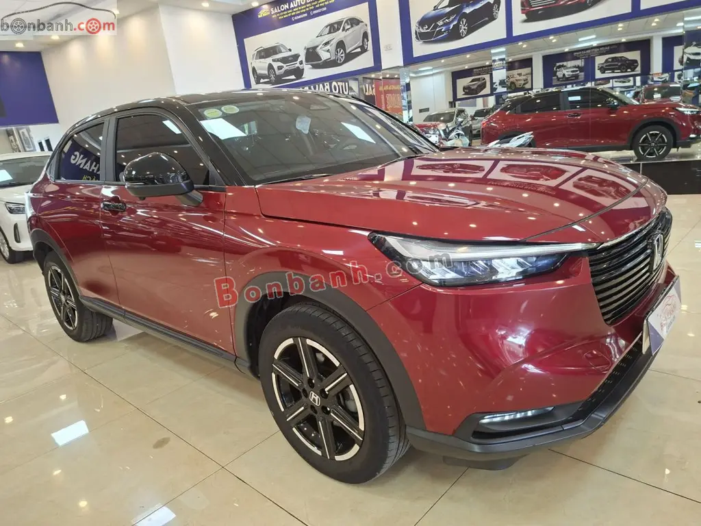 Hình ảnh số 7