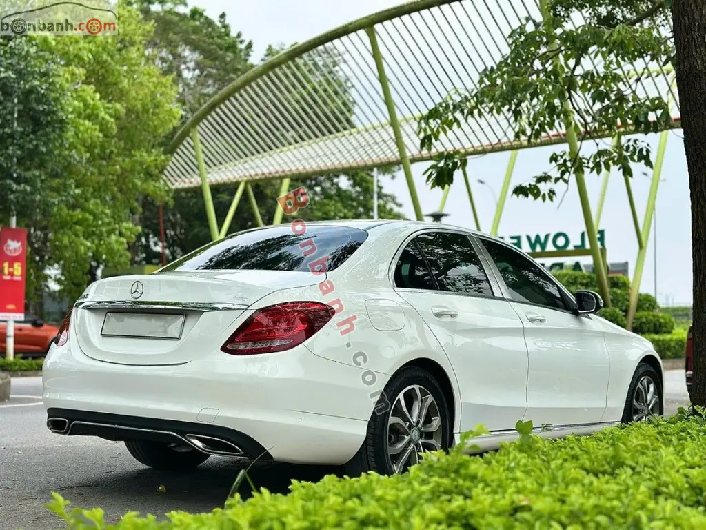Hình ảnh số 4