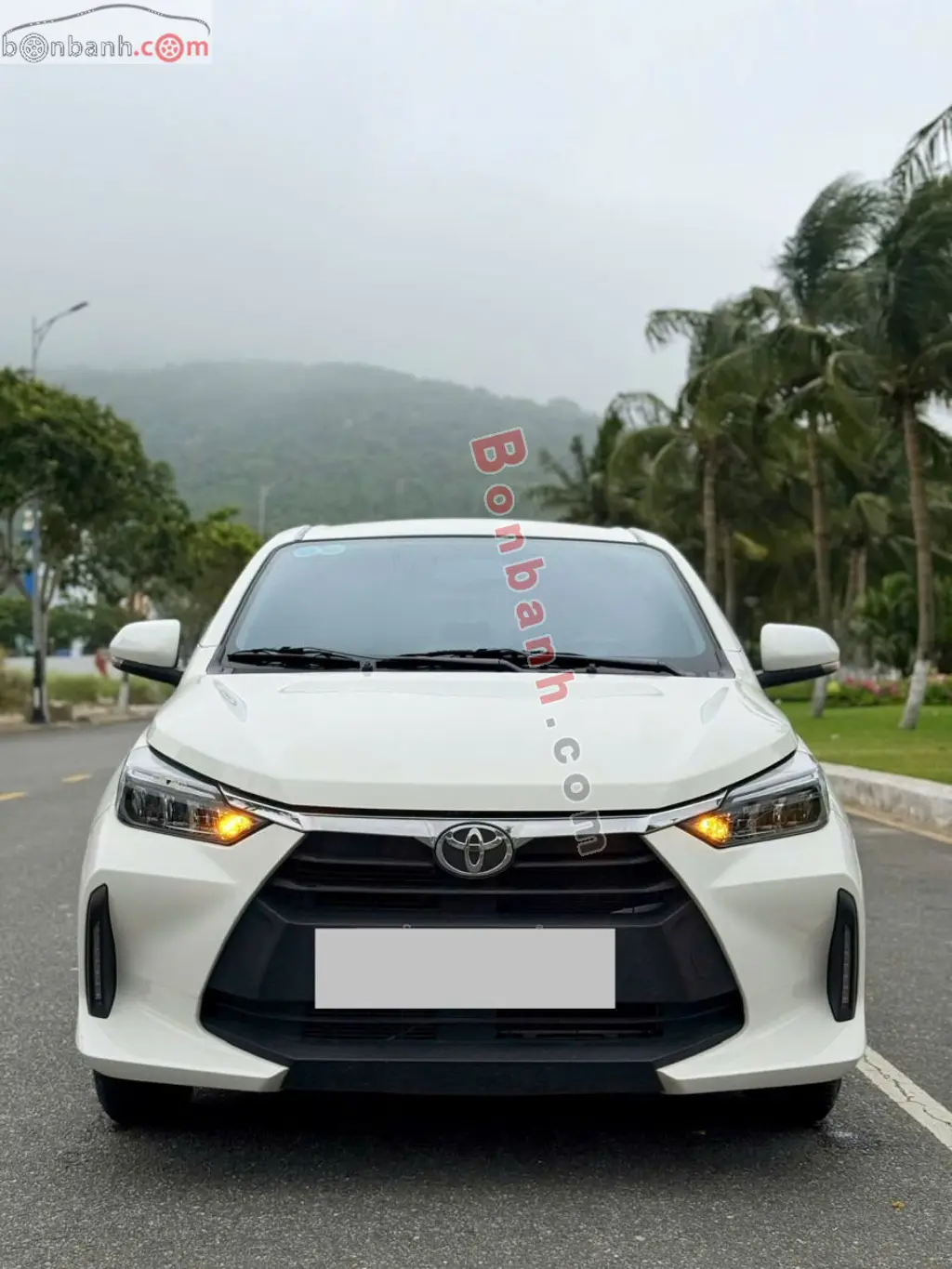 Hình ảnh số 2