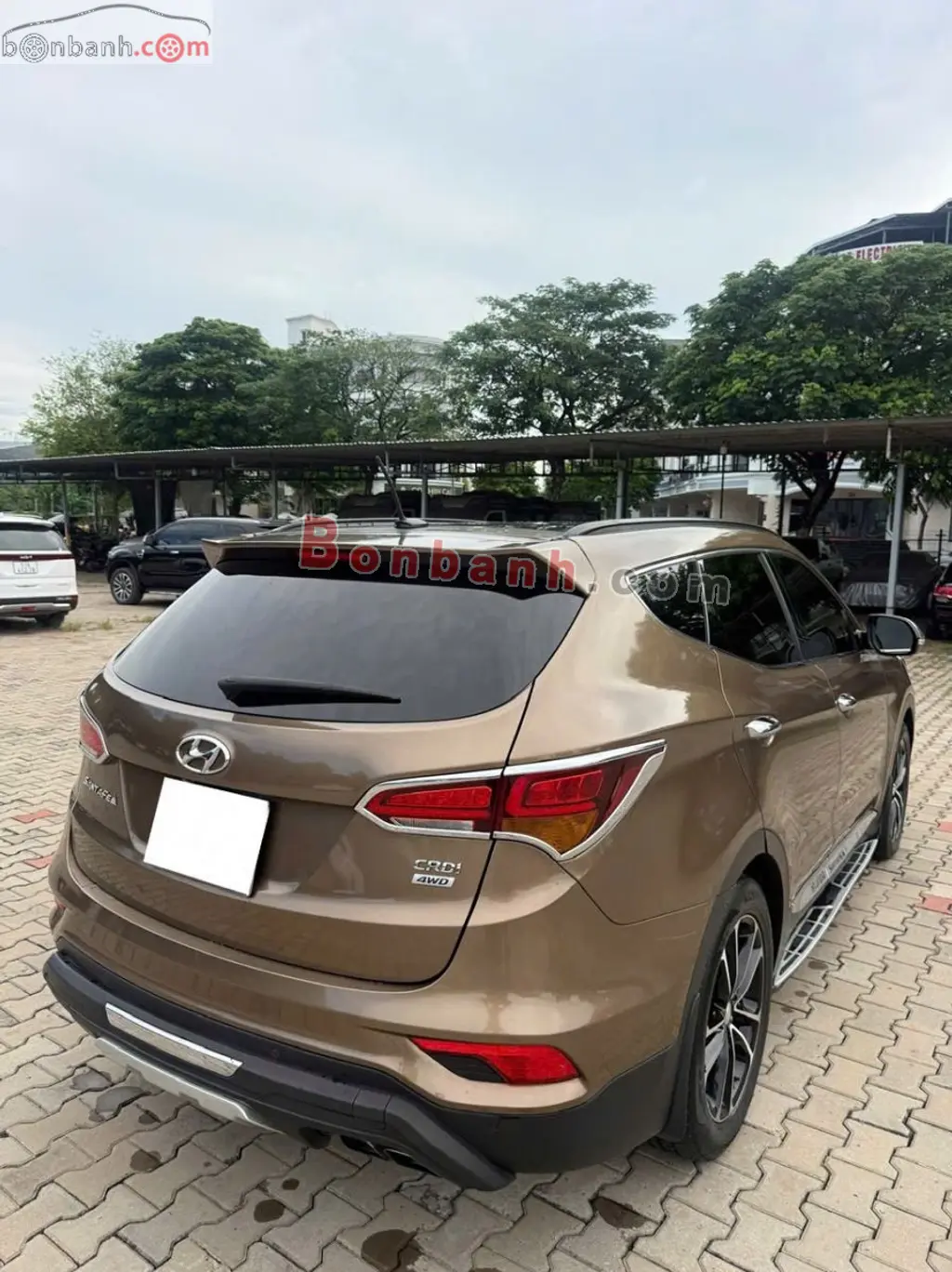 Hình ảnh số 4