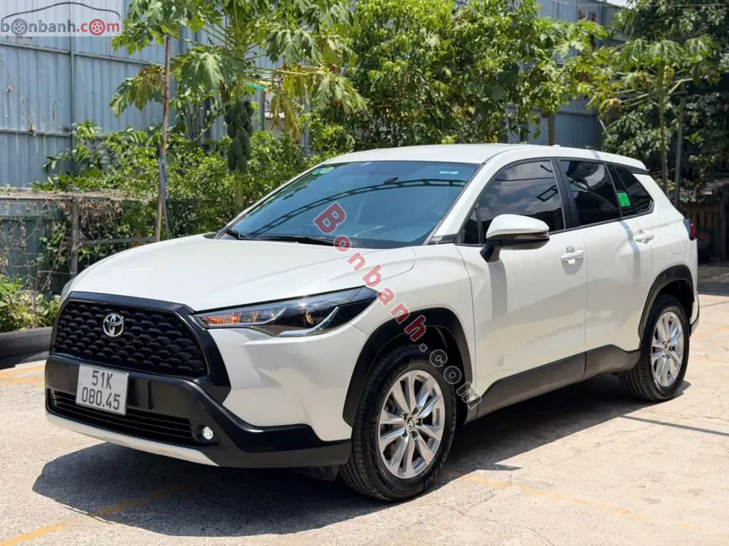 Hình ảnh số 2