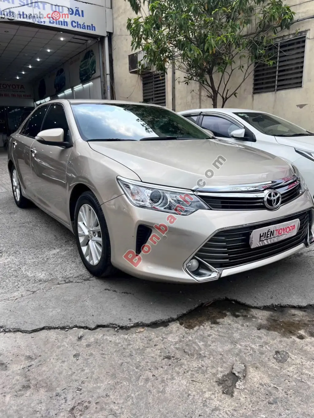 Hình ảnh số 2