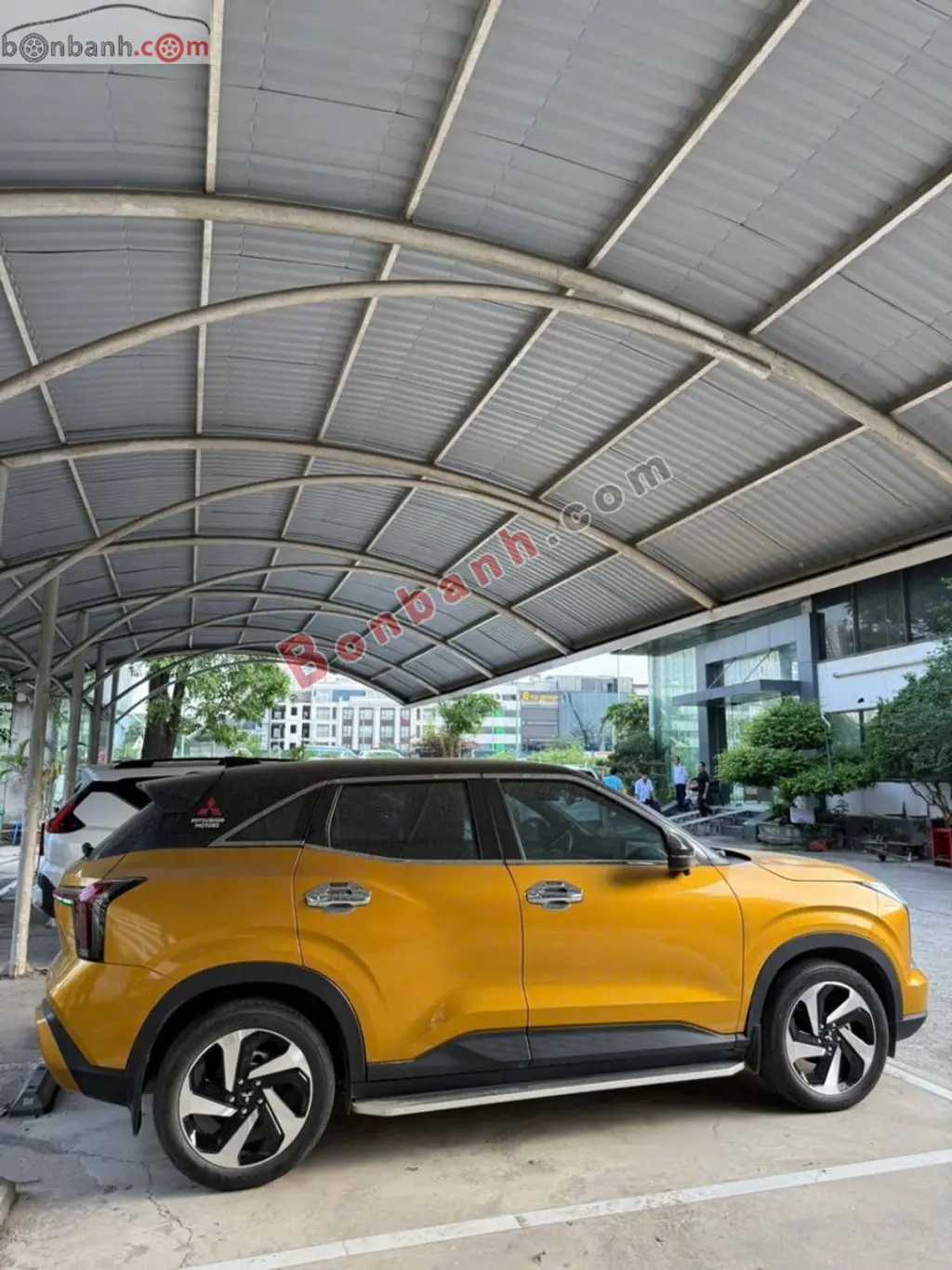 Hình ảnh số 2