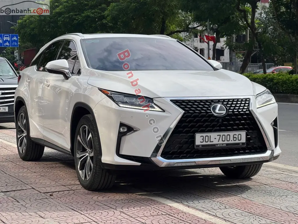 Hình ảnh số 2