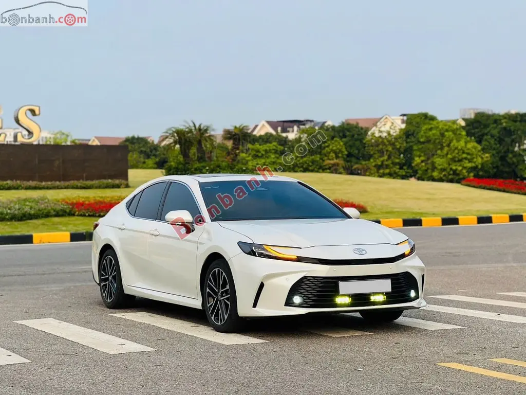 Hình ảnh số 3