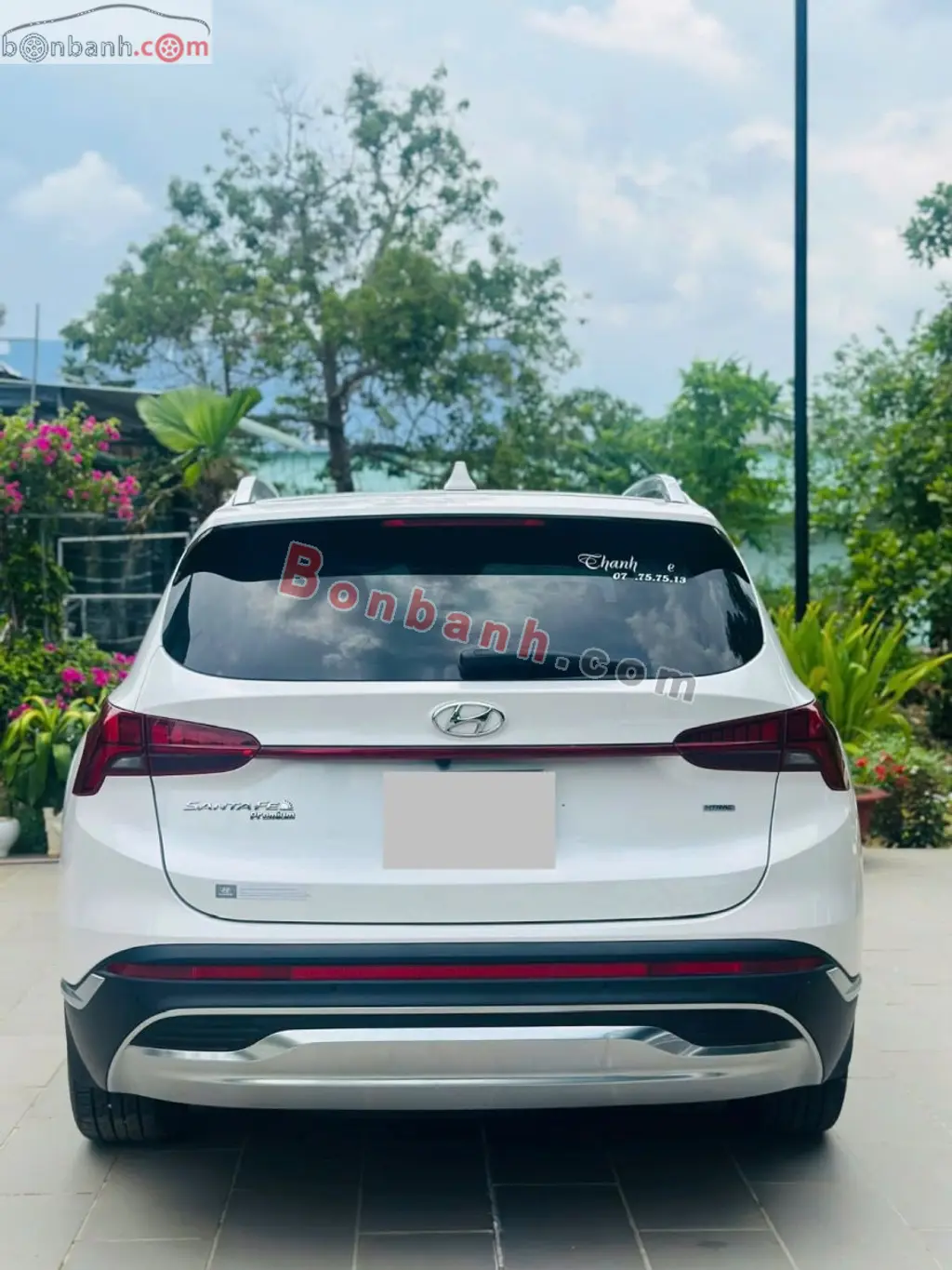 Hình ảnh số 3