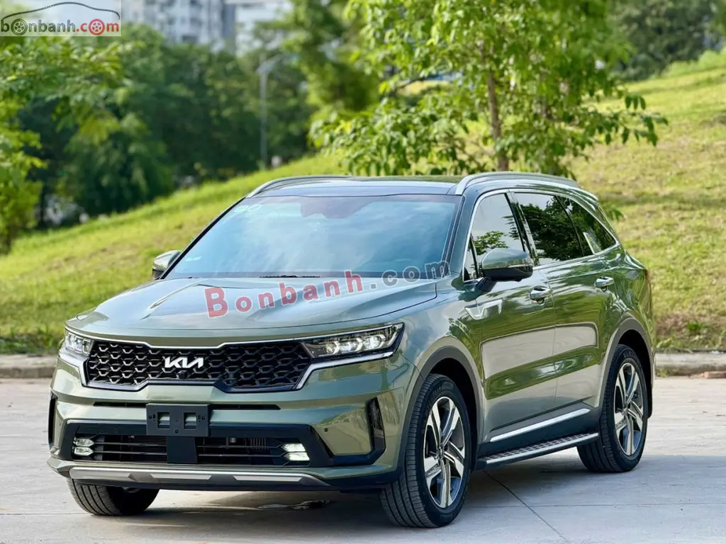 Hình ảnh số 2