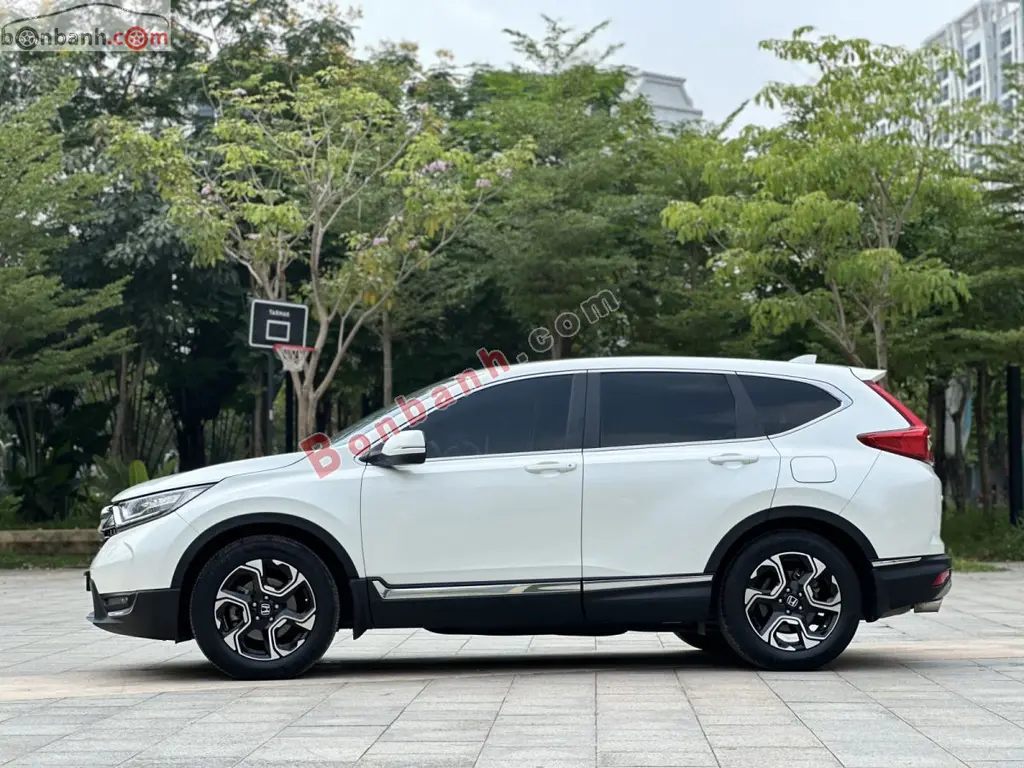Hình ảnh số 3