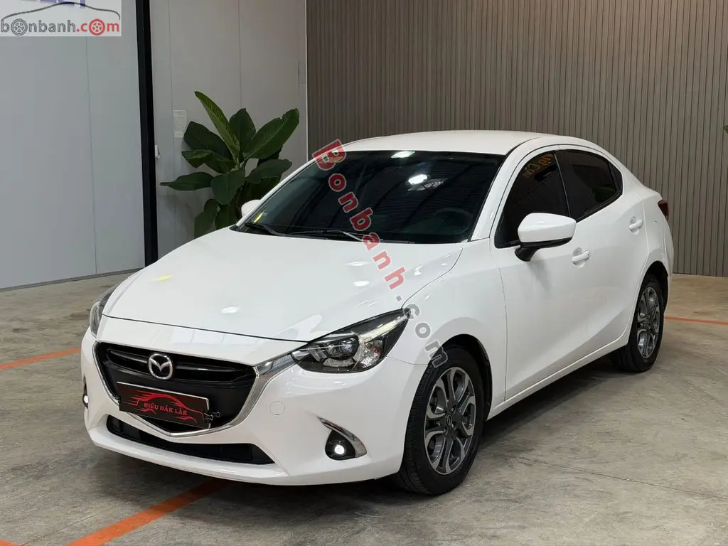 Hình ảnh số 2