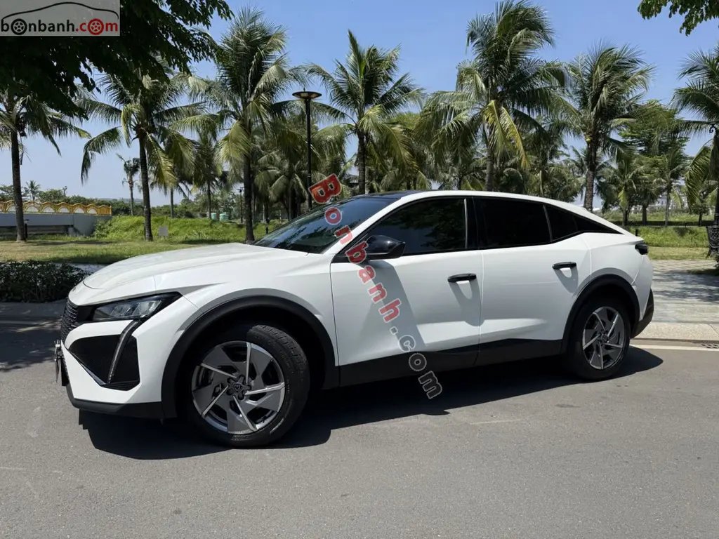 Hình ảnh số 4