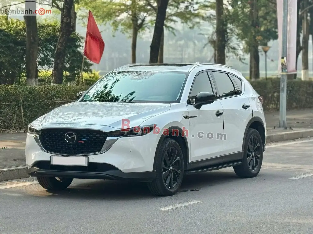 Hình ảnh số 2