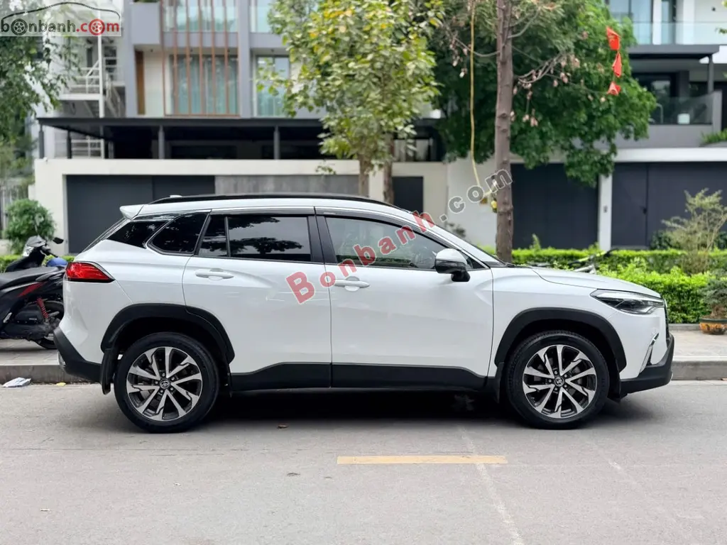 Hình ảnh số 2