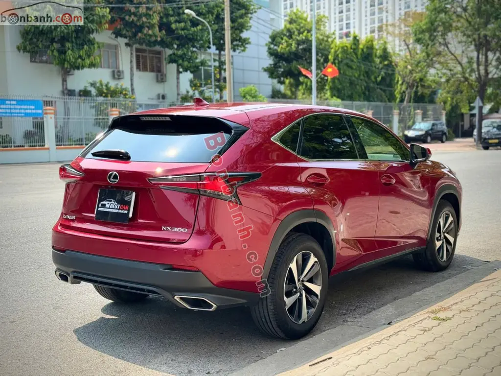 Hình ảnh số 6