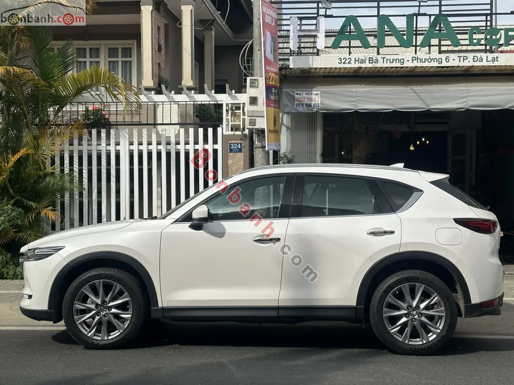 Hình ảnh số 2