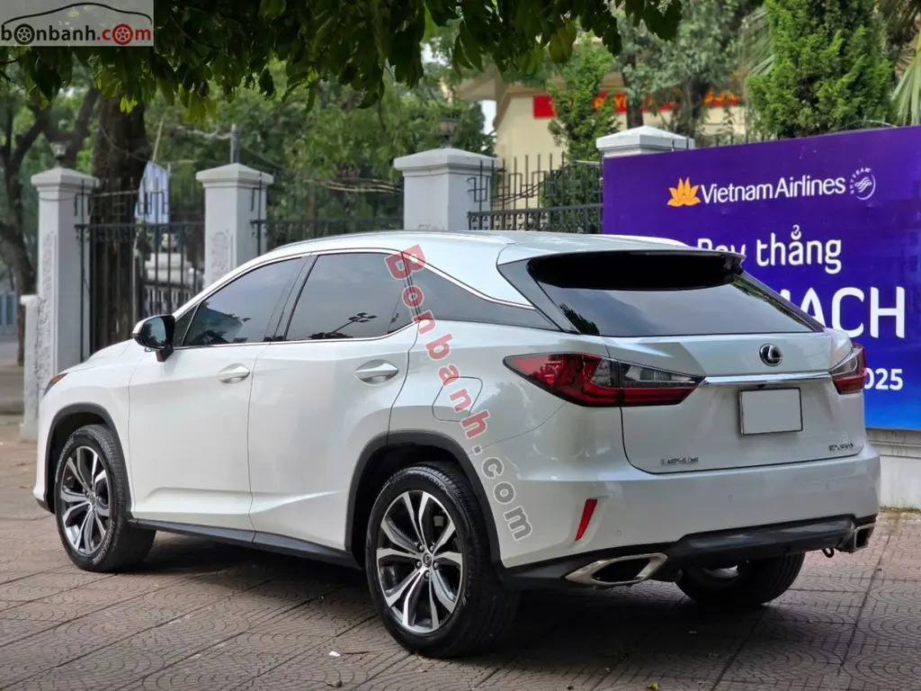 Hình ảnh số 4