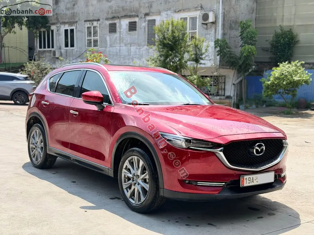 Hình ảnh số 2