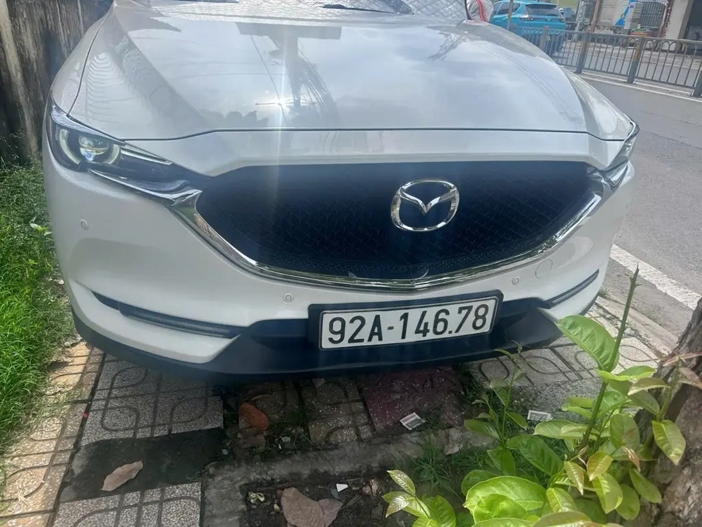 Hình ảnh số 11