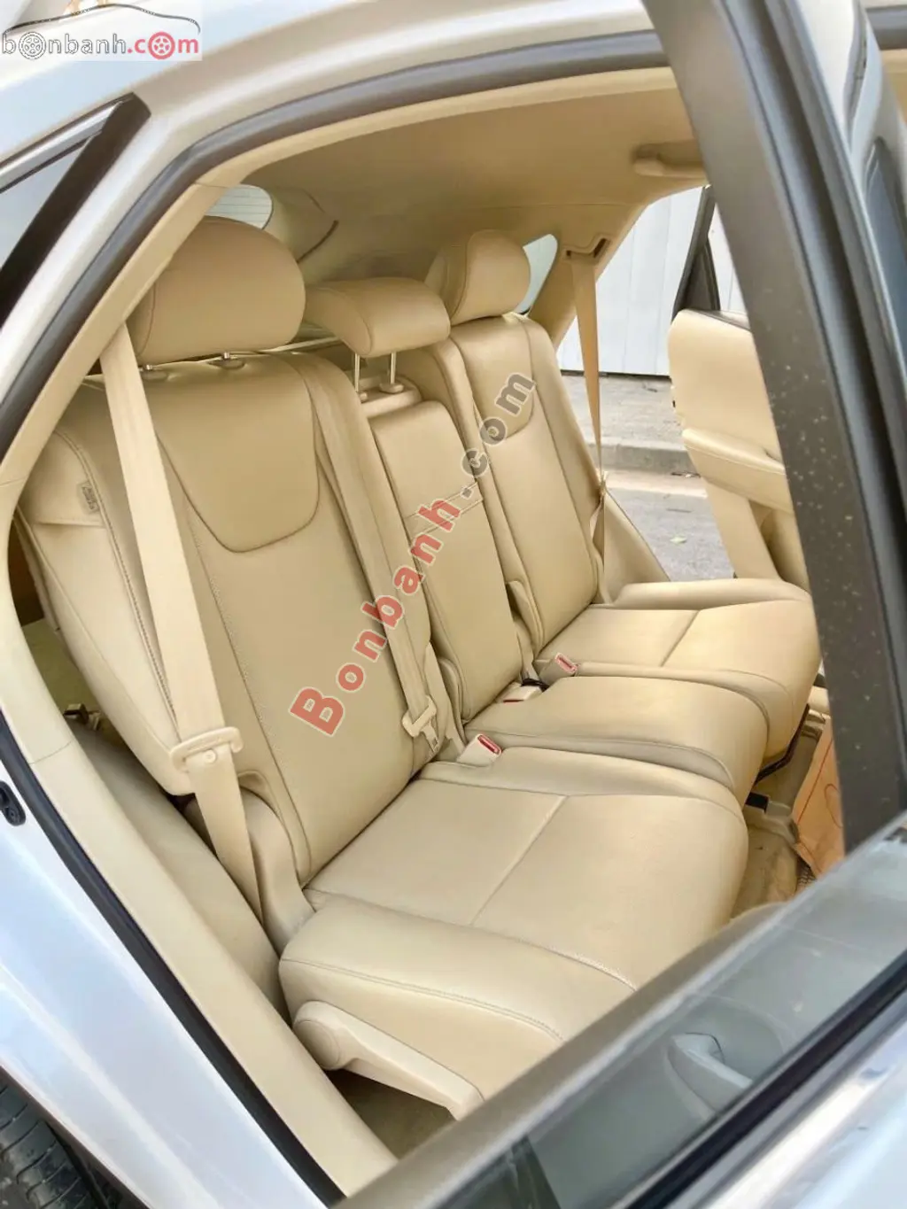 Hình ảnh số 10