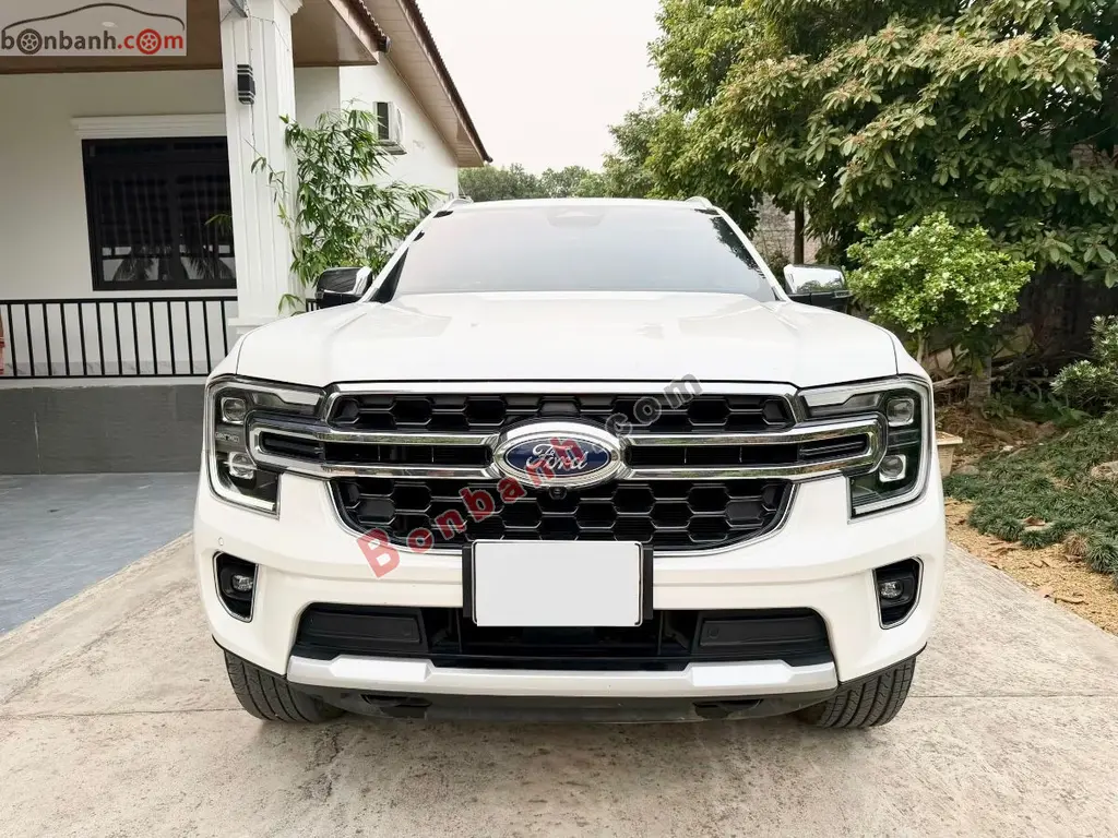 Hình ảnh số 2