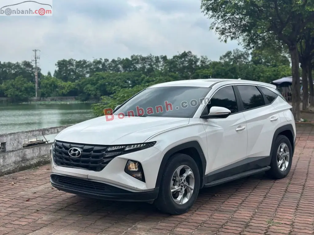 Hình ảnh số 2
