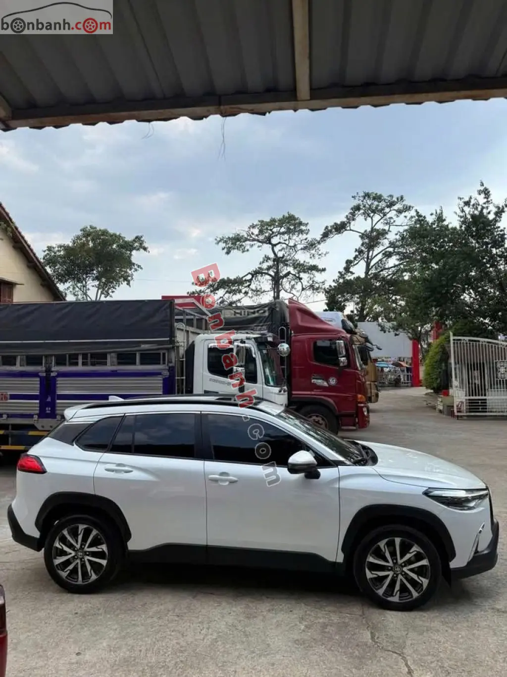 Hình ảnh số 4