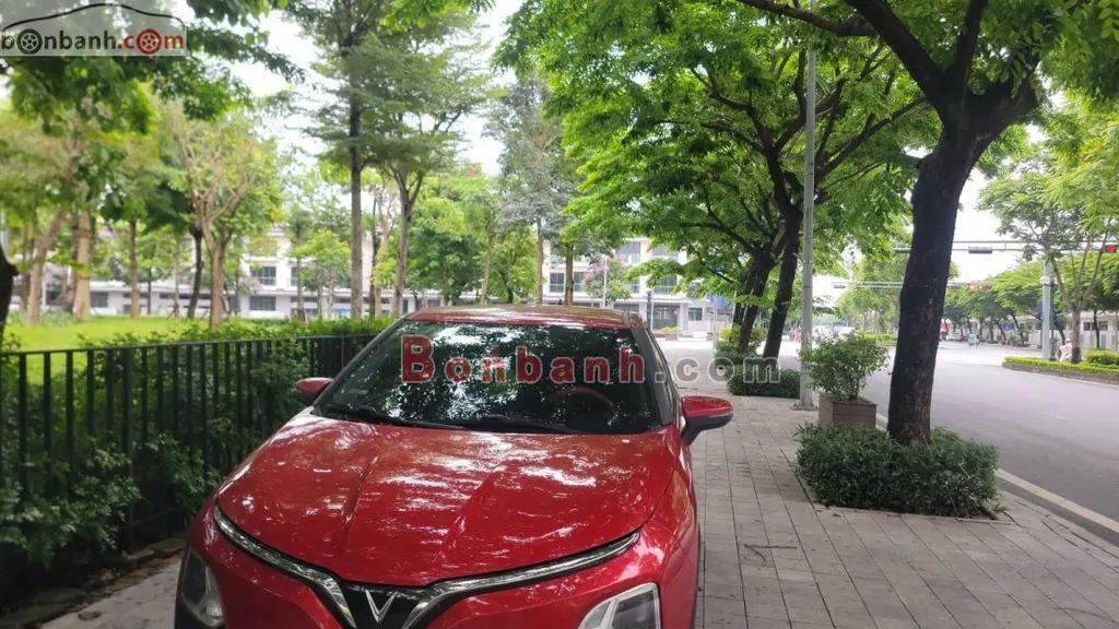 Hình ảnh số 2