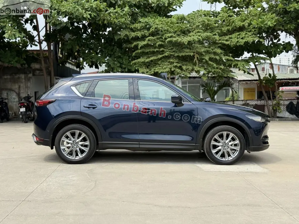 Hình ảnh số 2