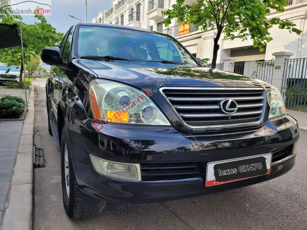 Hình ảnh số 3
