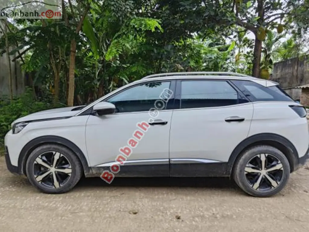 Hình ảnh số 2