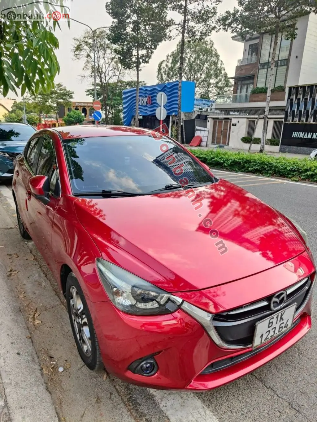 Hình ảnh số 2