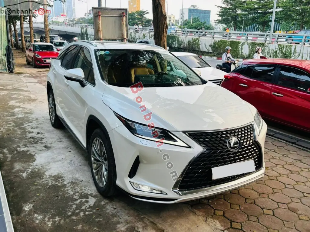 Hình ảnh số 3