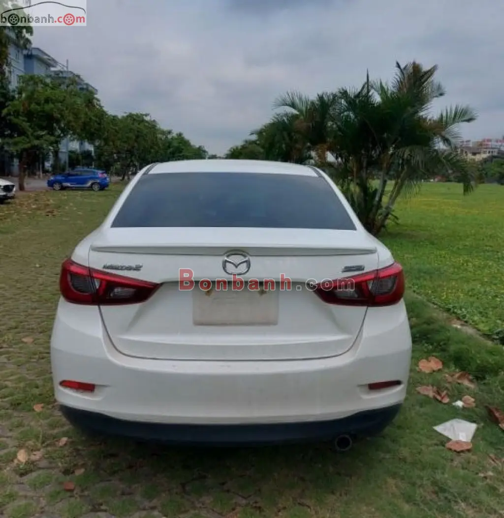 Hình ảnh số 2